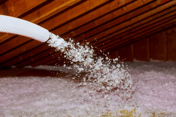 Best Cellulose Insulation in Geneseo, IL