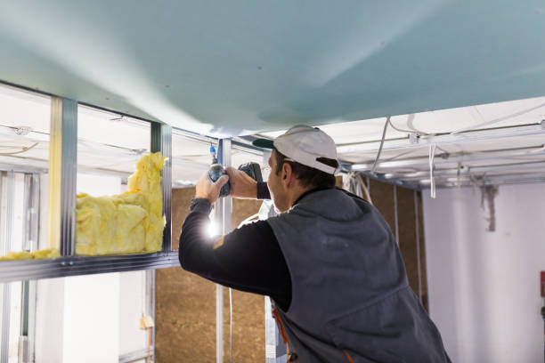 Best DIY Insulation Kits and Guidance in Geneseo, IL