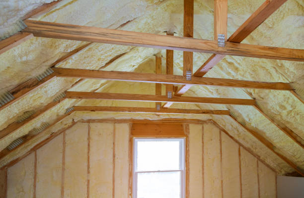 Best Residential Insulation in Geneseo, IL
