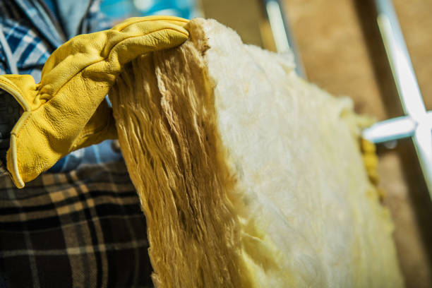 Types of Insulation We Offer in Geneseo, IL