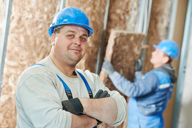 Best Eco-Friendly Insulation in Geneseo, IL