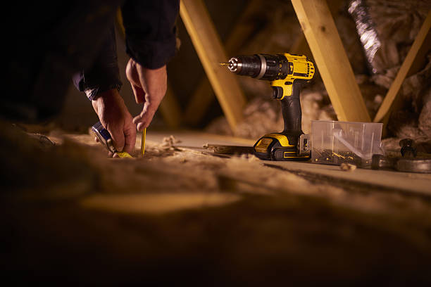 Best Specialized Insulation Services in Geneseo, IL