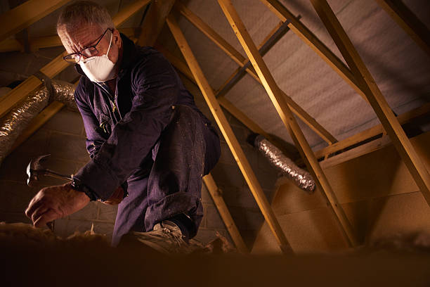Types of Insulation We Offer in Geneseo, IL