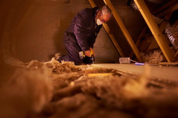 Best Blown-in Insulation in Geneseo, IL